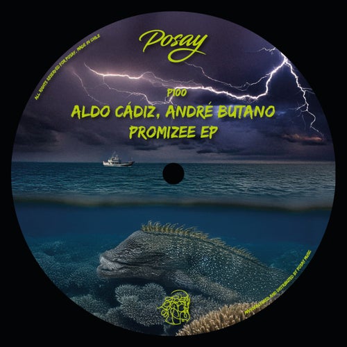 Release of the week