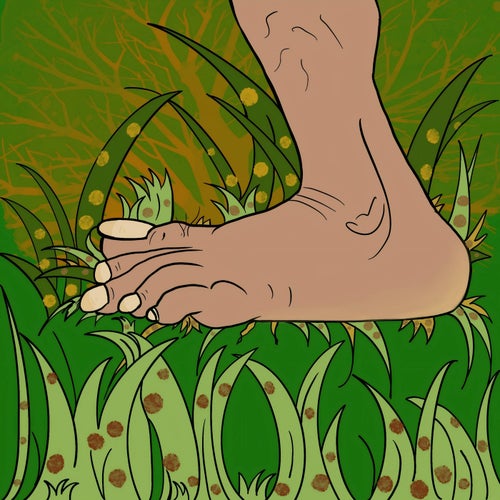 草臺班子