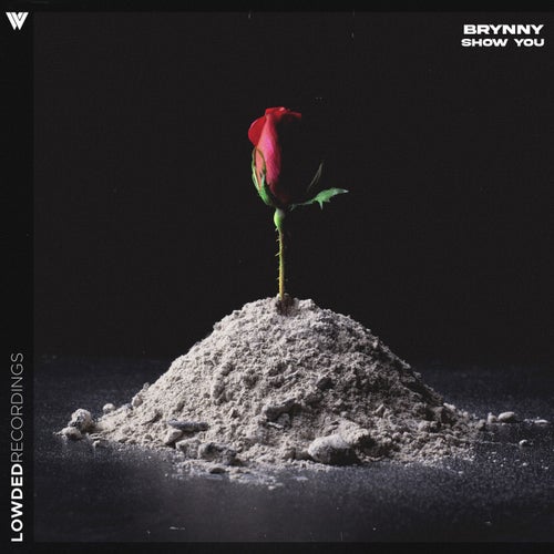 Release of the week
