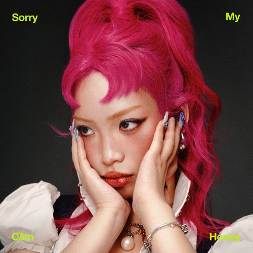Sorry My Honey