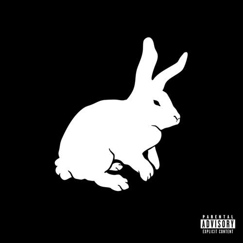 White Rabbit
