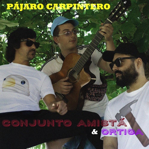 Pájaro Carpintero