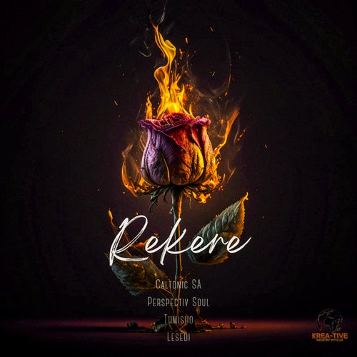 Release of the week