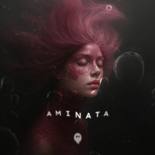 AMINATA (Extended Mix)